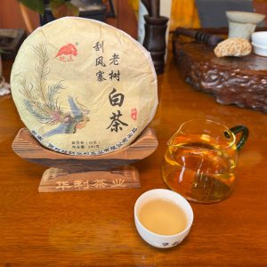 2024Guafengzhai White Tea